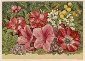 Spring Prints: Spring Flowers Print 1866