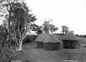 Early 1900s Rural Scene Prints: Stack Garden
