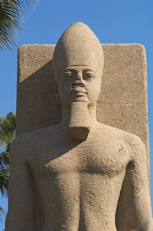 Statue of Pharaoh Ramses II. Detail. Memphis. Egypt Statue of Pharaoh Ramses II. Detail. Memphis. Egypt