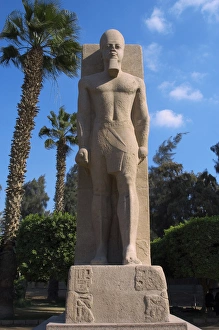Statue of Pharaoh Ramses II. Memphis. Egypt Statue of Pharaoh Ramses II. Memphis. Egypt