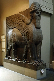 Statue of a winged lion with human head. Nimrud Statue of a winged lion with human head. Nimrud