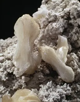 Natural History Museum Specimens Prints: Stilbite