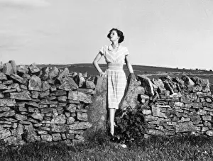 Dry Stone Wall Prints: Stone Wall Stile