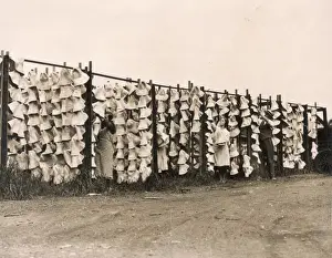 Straw Hats Drying Print