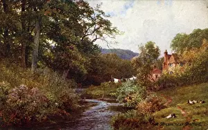 A Stream, Shalford, Surrey Print 1910s England