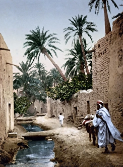 Street scene in Biskra, Algeria, circa 1890s Street scene in Biskra, Algeria, circa 1890s