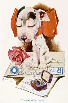 The Studdy Dog - Somebody Cares by George Studdy The Studdy Dog - Somebody Cares by George Studdy