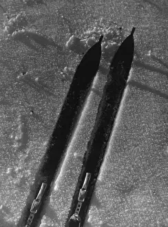 Skiing In The Snow Prints: Study of Skis