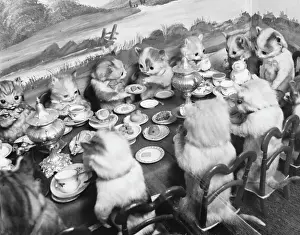 Prints of Stuffed animals sit around a tiny table eating and drinking at the Walter Potter Museum, Jamaica Inn, London, sadly sold off and disbanded in 2003. Date: 1960s Related Image Prints: Walter Potter's Stuffed Kittens Lunch Print, 1960s
