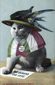 Suffragette Cat In Hat and Flag