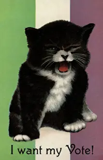 Suffragette Prints: Suffragette Cat I Want My Vote Print, circa 1908