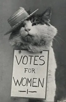 Suffragette Prints: Votes for Women Print circa 1908