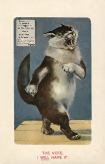 Suffragette Cat Will Have The Vote Print, circa 1908