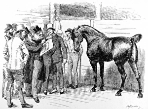 The Summer Horse Show, Islington, 1892 The Summer Horse Show, Islington, 1892