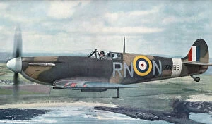 Aviation Collection: Supermarine Spitfire 2 / II