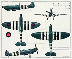 Royal Aeronautical Society Collection: Supermarine Type 365 Spitfire aeroplane