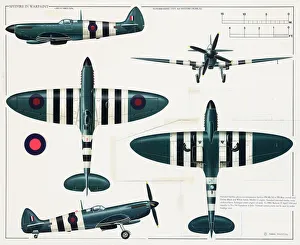 Supermarine Type 365 Spitfire aeroplane Supermarine Type 365 Spitfire aeroplane