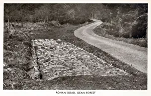 Roman Road Forest of Dean Print circa 1930s