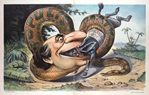 Puck Magazine Art Prints: Swallowed