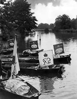 Prints of Swans on the Thames are chiefly the property of the companies of Dyers and Vintners, and of the Queen. Here the boats fly the flags of those companies. Date: 1930s Related Image Prints: Swan Upping on the Thames, 1930s Print