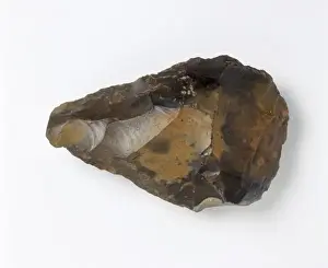 Neanderthalensis Prints: A Swanscombe Hand Axe Print, 500,000 - 300,000 years old