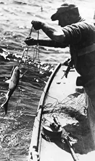 Swordfish Print, 1930s