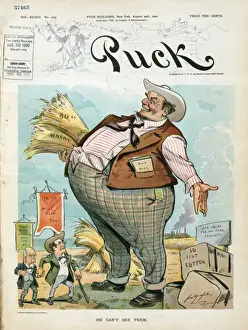 William Jennings Bryan Cartoon Prints: He can t see them