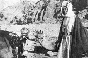 T E Lawrence (Lawrence of Arabia) with camels T E Lawrence (Lawrence of Arabia) with camels