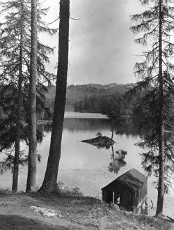Prints of View of Tarn Hows, Lake District, Cumbria. 1960s Lake Prints: View of Tarn Hows, Lake District, Cumbria Print. 1960s