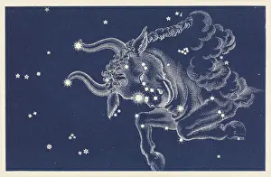 Prints of The Constellation Taurus Taurus Prints: Taurus Constellation Print