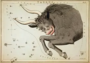 Prints of Taurus. Astronomical chart showing the bull Taurus forming the constellation, also shows the Pleiades. Date 1825 Taurus Prints: Taurus Taurus Astronomical Print 1825
