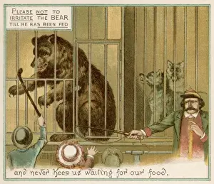 Animal Behavior Study Prints: Teasing the Bear