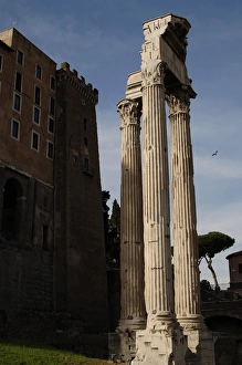 Temple of Concord. Roman Forum. Rome. Italy Temple of Concord. Roman Forum. Rome. Italy