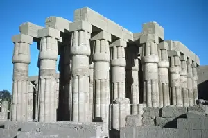 Luxor Temple Print: Columns with Papyriform Capitals