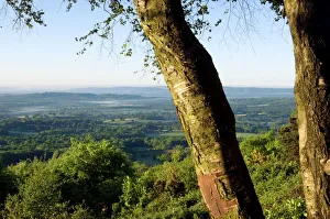 Temple of Winds on Blackdown / Black Down hill Temple of Winds on Blackdown / Black Down hill