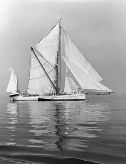 Prints of Calm waters, a fine impression of the sailing barge Sara on the River Thames, England. Date: 1960s River Prints: Thames Barge Sara Print, 1960s River Thames England