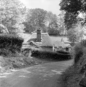 Thatched Cottage Print, Devon Landscape