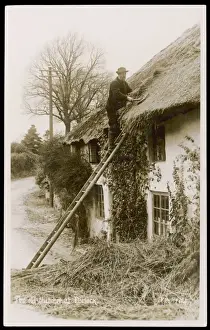 Traditional Roofing Techniques Prints: Thatching at Porlock