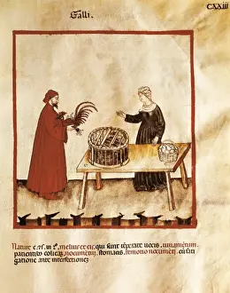 Tacuinum Sanitatis Prints: Theatrum sanitatis (Codex 4182). Tacuinum Sanitatis