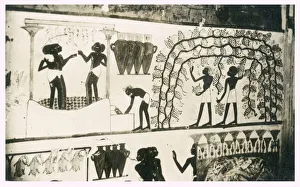 Thebes, Upper Egypt, North Africa - Tomb of Nakht Thebes, Upper Egypt, North Africa - Tomb of Nakht