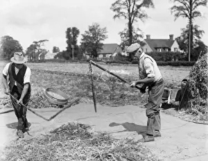 Britain Farming History Prints: Threshing with Flails