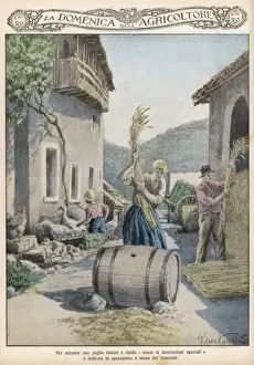 Threshing Print, Italian Farmyard Scene