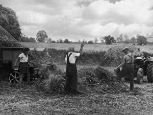 Threshing Straw Print: Two Men and a Girl on a Leicestershire Farm