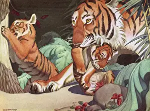 Raymond Sheppard Prints: Tigers