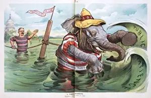 Republican Elephant Cartoon Prints: A timely warning