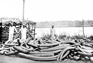 Tippoo Tibs Ivory Store at Stanley Falls, Lualaba River, c Tippoo Tibs Ivory Store at Stanley Falls, Lualaba River, c