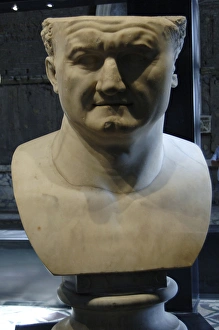 Titus (39-81). Roman Emperor. Colossal Head Titus (39-81). Roman Emperor. Colossal Head
