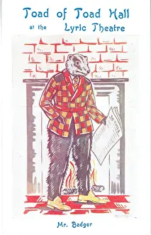 Toad of Toad Hall Print