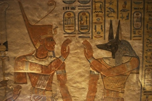 Tomb of Amen Khopshef. God Anubis on the right. Valley of t Tomb of Amen Khopshef. God Anubis on the right. Valley of t