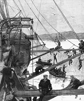 French Warships History Prints: Torpedo Nets